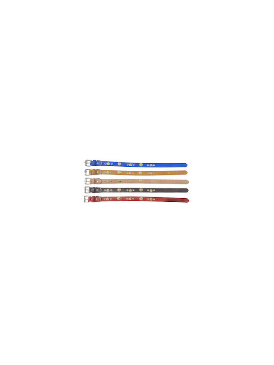 Dog Collar 30mm x 56cm (Various Colors)
