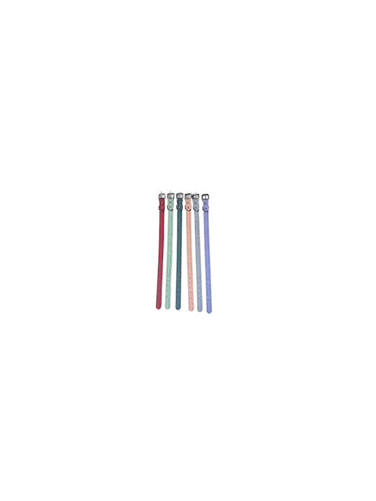 Dog Collar 30mm x 56cm 12pcs (Various Colors)