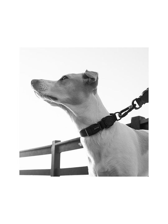 Zee-Dog Κολάρο Σκύλου σε Μαύρο χρώμα XSmall