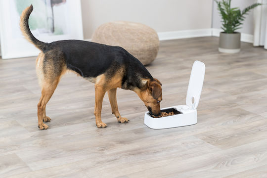Trixie Automatic Plastic Feeder for Dog & Cat with Base 300ml 24cm in Black Color