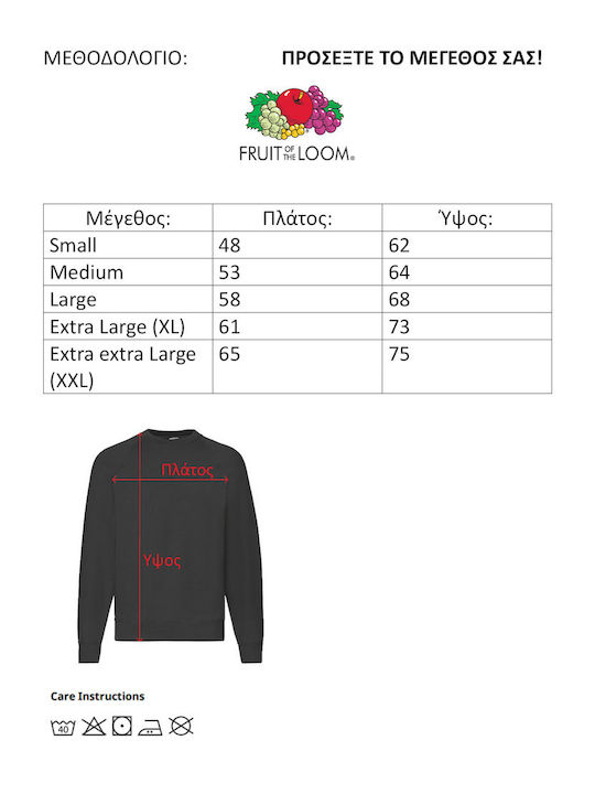 Fruit of the Loom Cobra Kai No20 Sweatshirt Kobra Kai Gray
