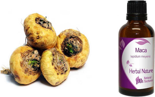 Μάκα Βάμμα Maca 50ml Nature & Body