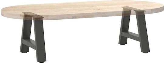 vidaXL Metallisches Möbelbein 2Stücke Für Tisch / Beistelltisch 40x30cm Anthrazit