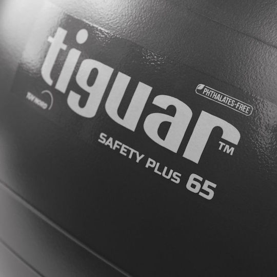 Tiguar Ball Pilates 65cm in Gray Color