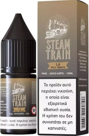 Steam Train Lichid de Reumplere Gata cu Aromă de Fumat 6mg 10ml