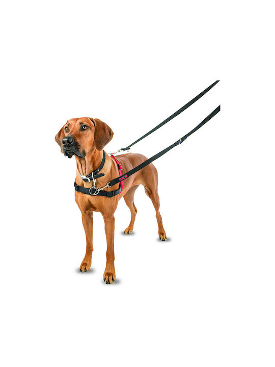 Company of Animals Training Black Dog Harness