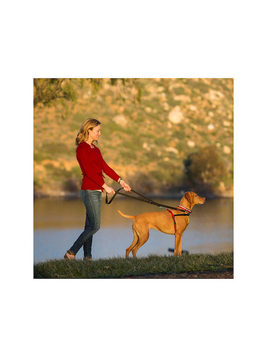 Company of Animals Dog Harness Training Black 372976
