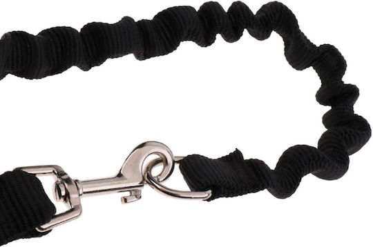 Dog Leash/Lead Strap in Black color