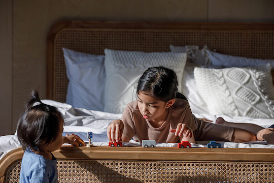 Plan Toys Σετ Αυτοκινητάκια για 3+ Ετών