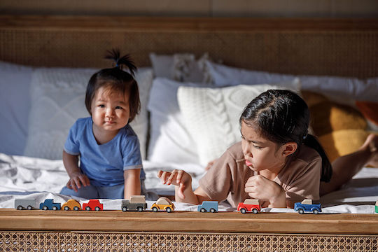 Plan Toys Σετ Αυτοκινητάκια για 3+ Ετών
