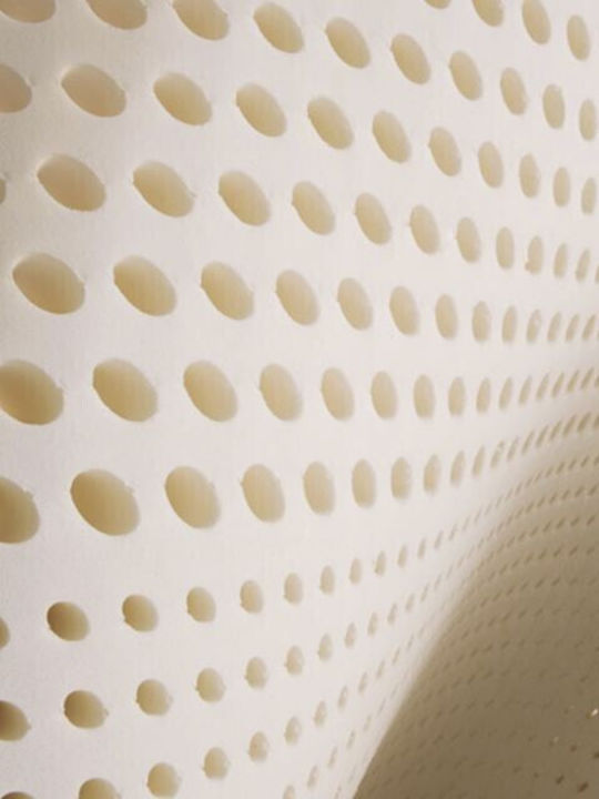 Strom Eco Μαξιλάρι Ύπνου Memory Foam Ανατομικό 60x40x12cm