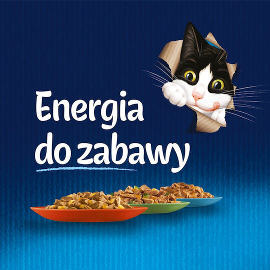 Felix Υγρή Τροφή για Ηλικιωμένες Γάτες σε Φακελάκι με Σολομό 85gr