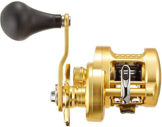 Shimano Ocea Conquest Hg 300 Angelrollen für Trolling