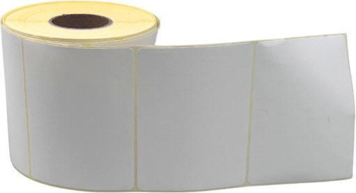 thessPACK 700 Αυτοκόλλητες Ετικέτες σε Ρολό για Εκτυπωτή Ετικετών 100x75mm