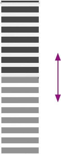 vidaXL Roller Blinds Partial Blackout Black W60xH200cm 4014253