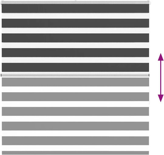 vidaXL Roller Blinds Partial Blackout Black W140xH150cm 4014243