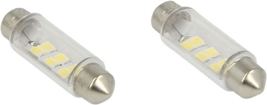 M-Tech Λάμπες Αυτοκινήτου C10W / C5W LED 6000K Ψυχρό Λευκό 12V 0.38W 2τμχ