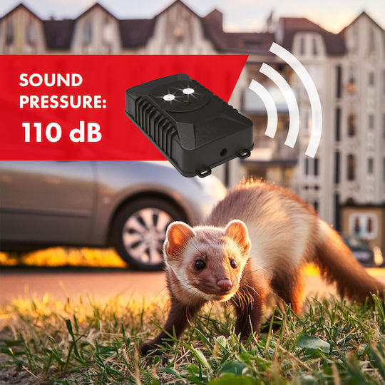 Auto Nagetierabschreckung Marder Mäuse Ratten Greenblue Gb725 Nagetier Und Marderabschreckung Ultraschall Led-leuchten