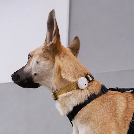 Zee-Dog Θήκη Σιλικόνης για AirTag σε Λευκό χρώμα