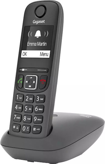 Gigaset AE690 Cordless Phone with Greek Menu Gray