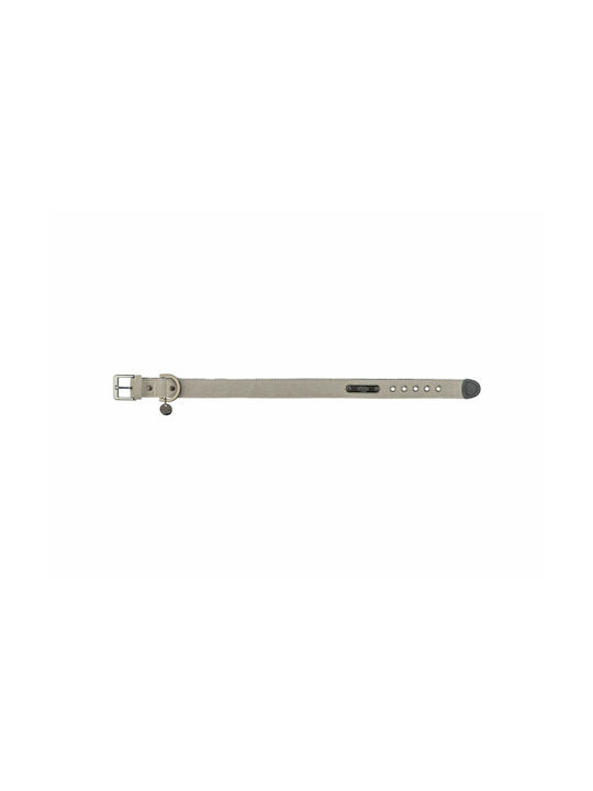 Trixie Citystyle Hundehalsband in Gray Farbe XSklein / Klein