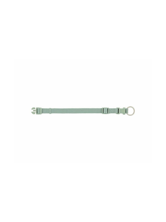 Trixie Premium Dog Collar in Green color 15mm