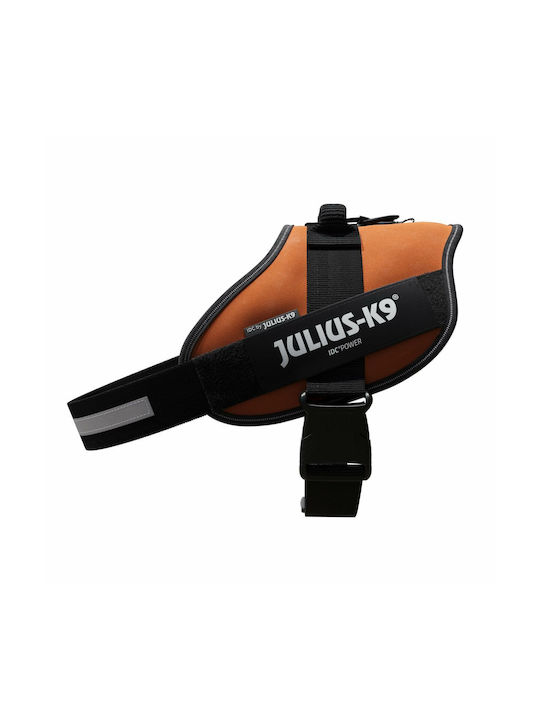 Julius K9 Dog Harness Orange X-Large