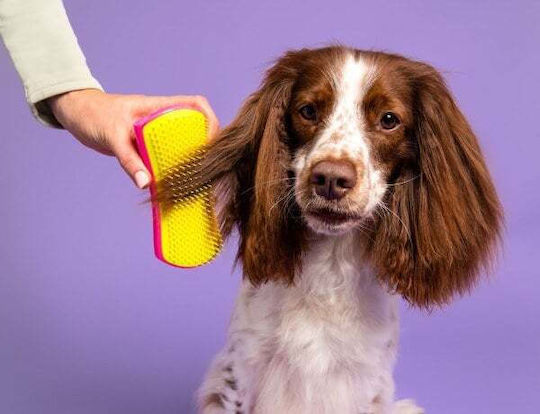 Tangle Teezer Pet Teezer Detangling Βούρτσα Large για Διάφορα Μήκη Τρίχας για Απομάκρυνση Τριχών Ροζ Pink/Yellow