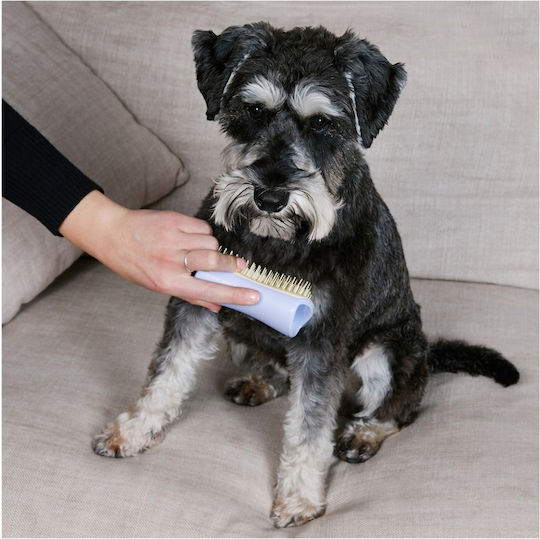 Tangle Teezer Pet Teezer Detangling Bürste Klein für verschiedene Haarlängen zur Haarentfernung Gelb