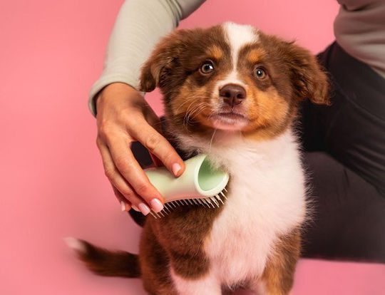 Tangle Teezer Pet Teezer Βούρτσα για Διάφορα Μήκη Τρίχας για Περιποίηση Τριχώματος Πράσινο