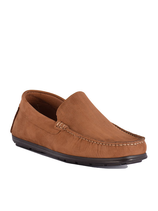Damiani
