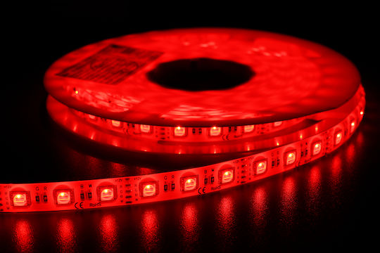 LED Strip 12V RGB Light 3m Type SMD5050