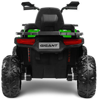 Kinder Elektromotorrad 12V Grüne Für 3+ Jahre