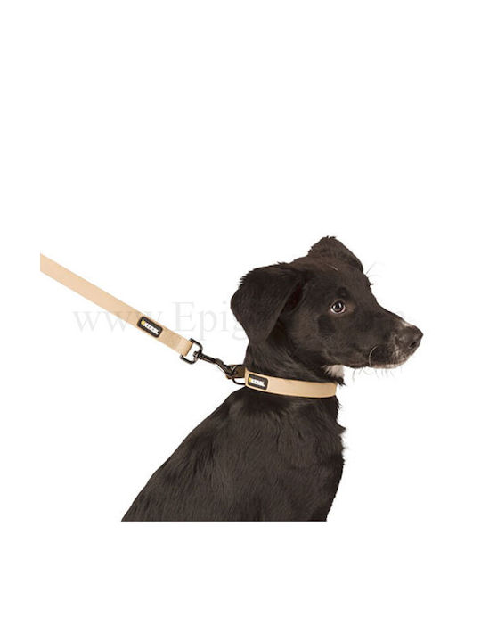 Kerbl Dog Collar in Brown Color 20mm
