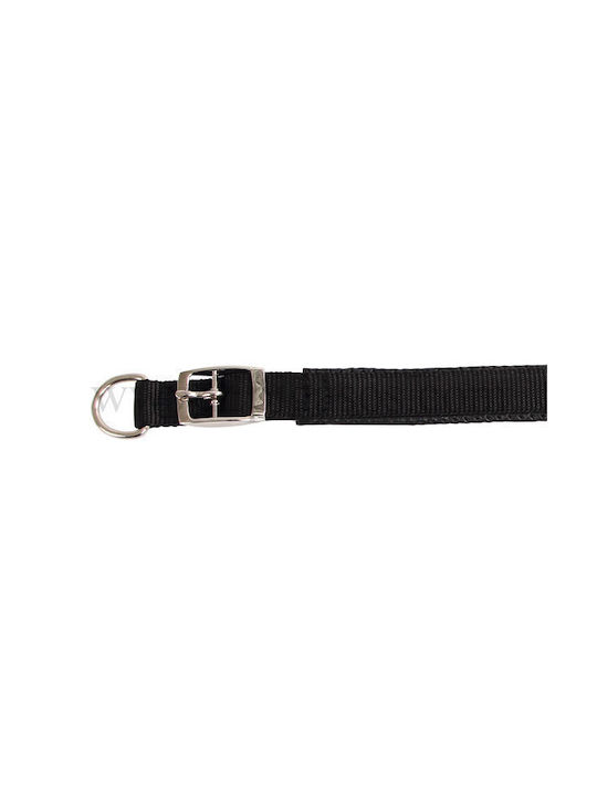 Kerbl Miami Plus Κολάρο Σκύλου σε Πράσινο χρώμα 20mm x 39cm
