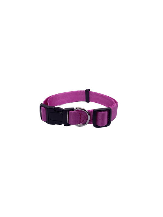 Pet Camelot Collar in Purple Color
