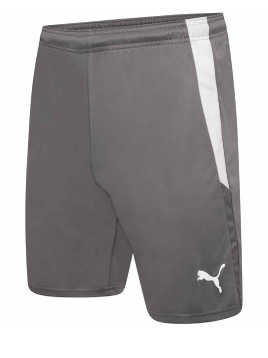 Puma Sportliche Herrenshorts grey