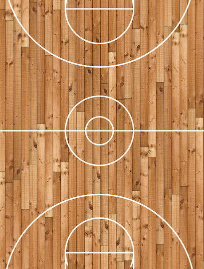 Nexgen Skins Nexgen Skins - Shoe Skin Set With 3d Ipad 2/3/4 Effect (hardwood Classic 3d)