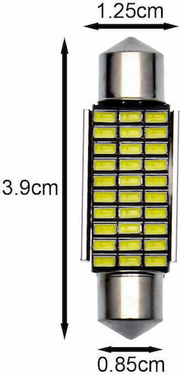 Rchang Λάμπα Αυτοκινήτου C5W Canbus LED 6500K Ψυχρό Λευκό 12V