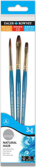 Daler Rowney Round Paint Brush Set 3pcs