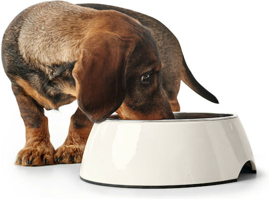 Hunter Stainless Steel Bowl Food for Dog & Cat 1.4lt in White Color