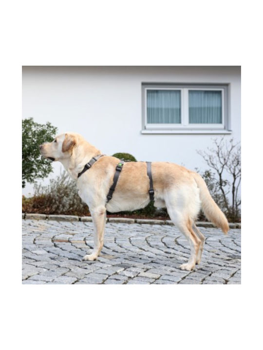 Kerbl Dog Harness Training Panic Harness Miami Gray 25mm x 64-100cm 80044