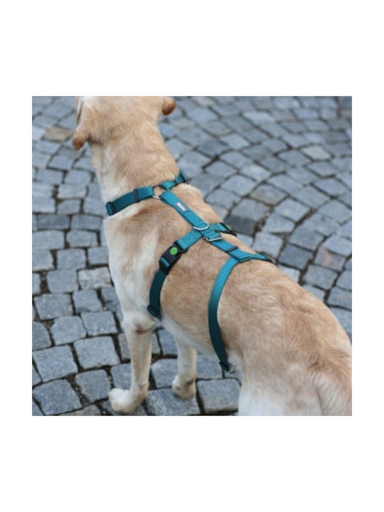 Kerbl Hundegeschirr Ausbildung Panic Harness Miami Blau 20mm x 48-70cm 80043