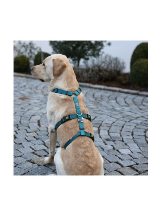 Kerbl Hundegeschirr Ausbildung Panic Harness Miami Blau 20mm x 48-70cm 80043
