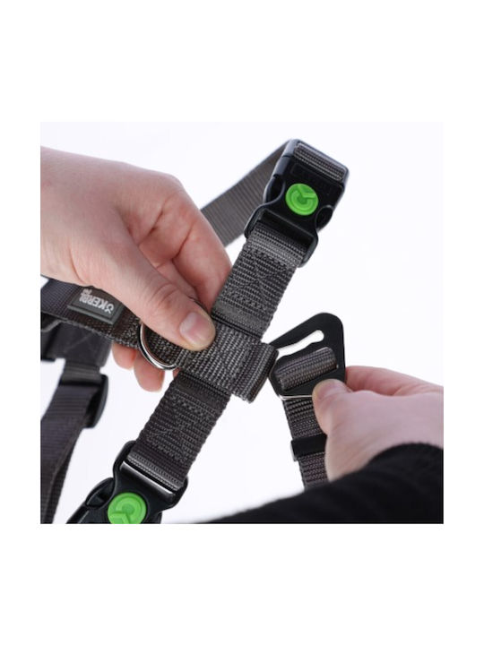 Kerbl Hamuri Pentru Câini Formare Gri 55-74cm
