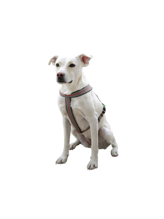 Kerbl Dog Harness Gray 80681
