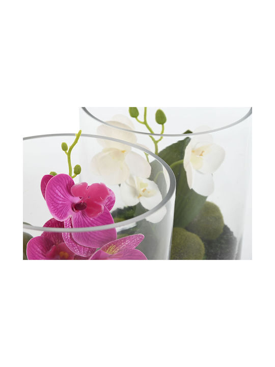 Plantă decorativă Home Esprit PVC Cristal 15 X 15 X 20 Cm X2