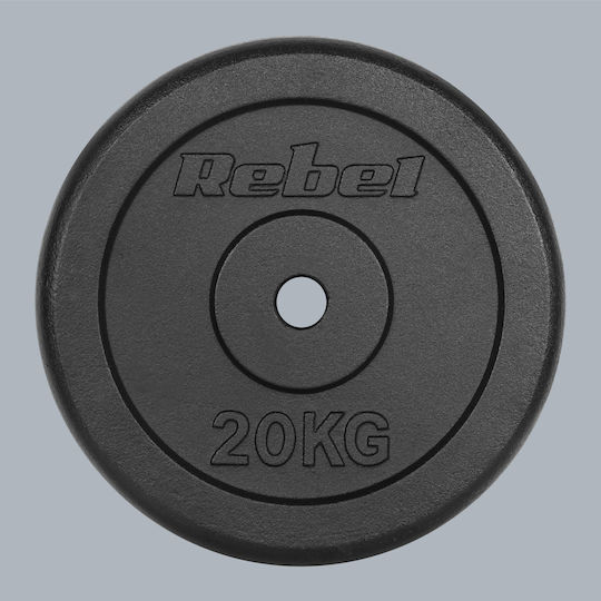 Scheibenset Metall 1 x 20kg Ø31mm