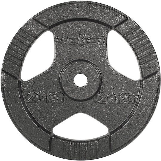 Set of Plates Metal 1 x 20kg Ø31mm with Handles
