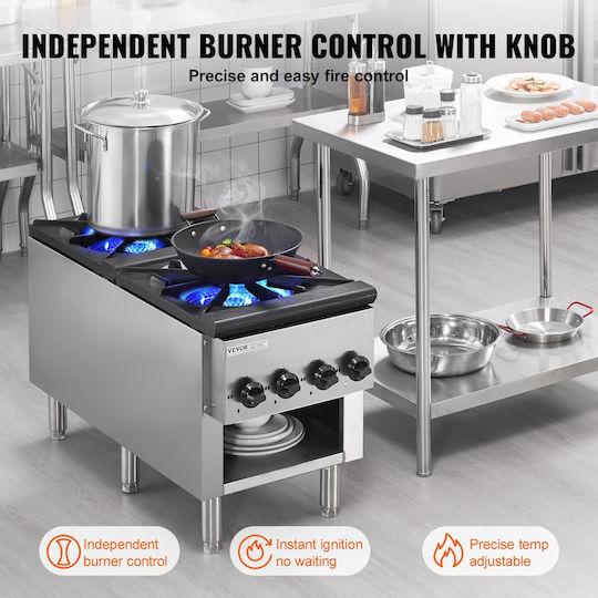 Vevor Commercial Gas Stove 2 Burners Countertop Cooking Plate Kitchen